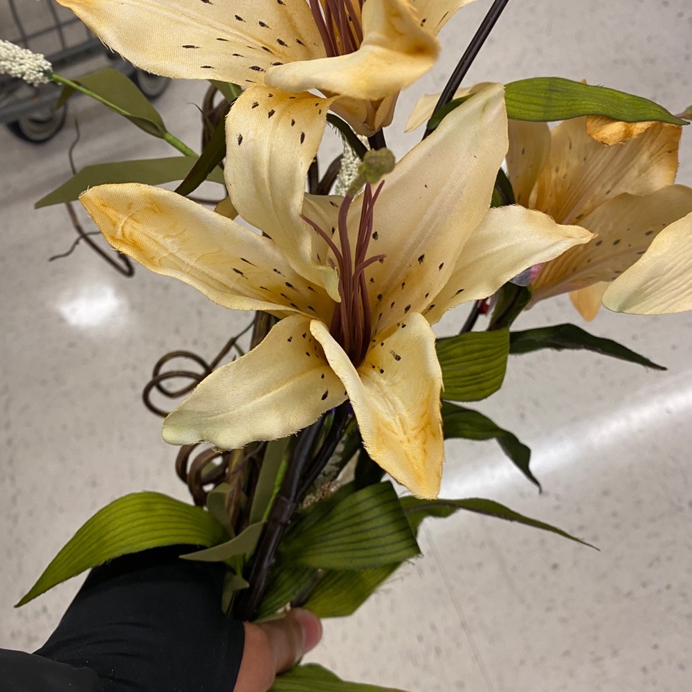 Meet your Posher, Linda